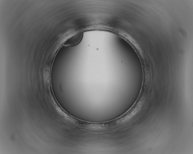 X0000112501049200908171305