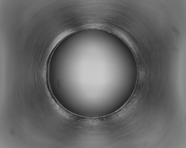 X0000112501050200908171305