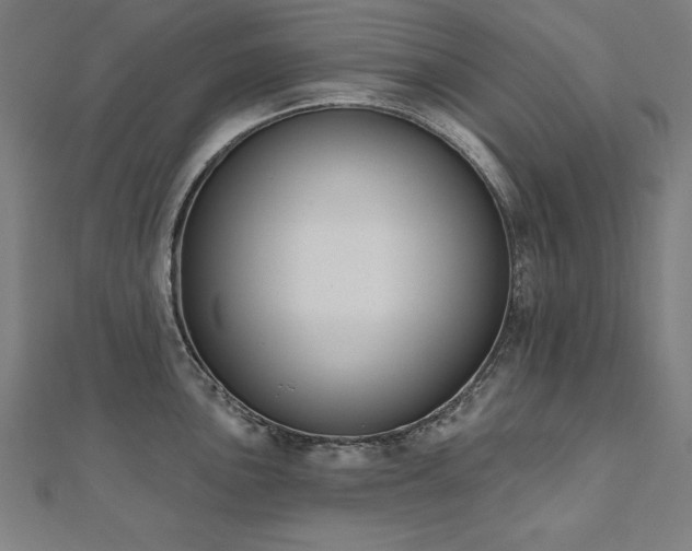 X0000112501051200908171305