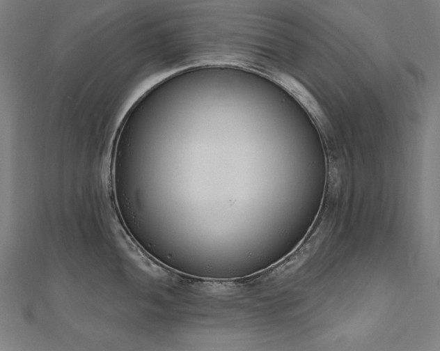 X0000112501052200908171305