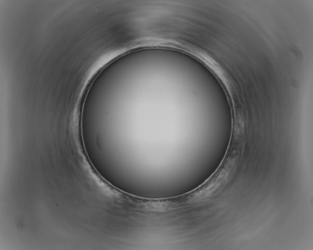 X0000112501053200908171305