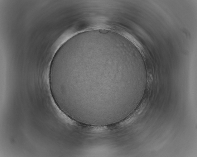 X0000112501055200908171305