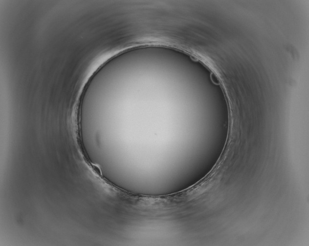 X0000112501056200908171305