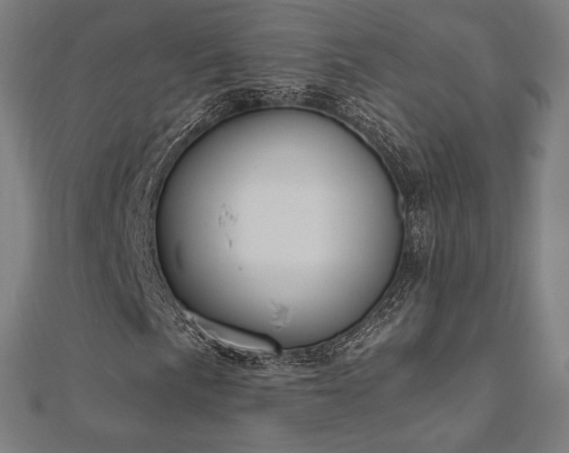 X0000112501057200908171304