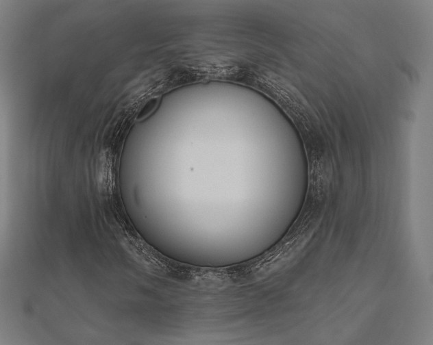 X0000112501058200908171304
