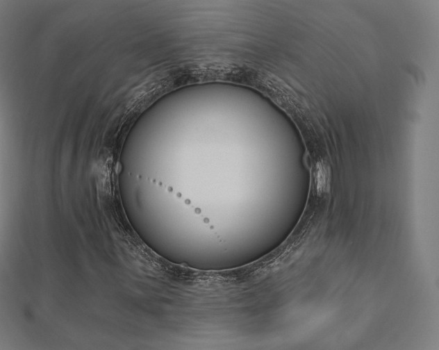X0000112501059200908171304
