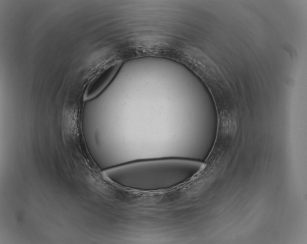 X0000112501060200908171304