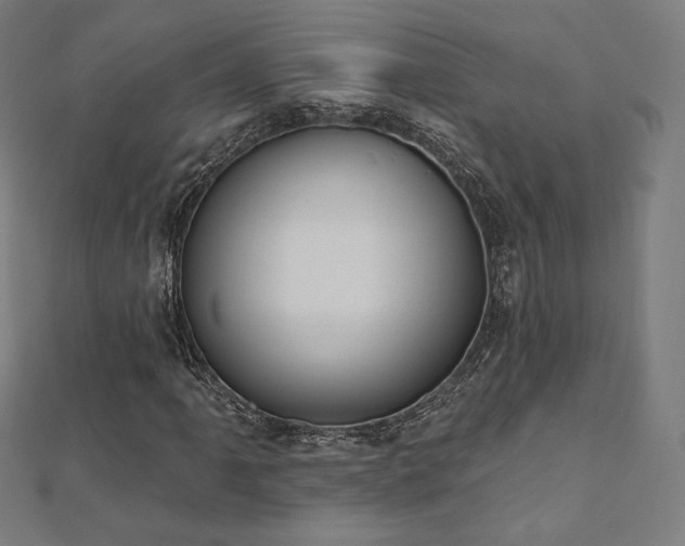 X0000112501061200908171304