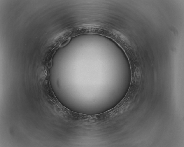 X0000112501062200908171304