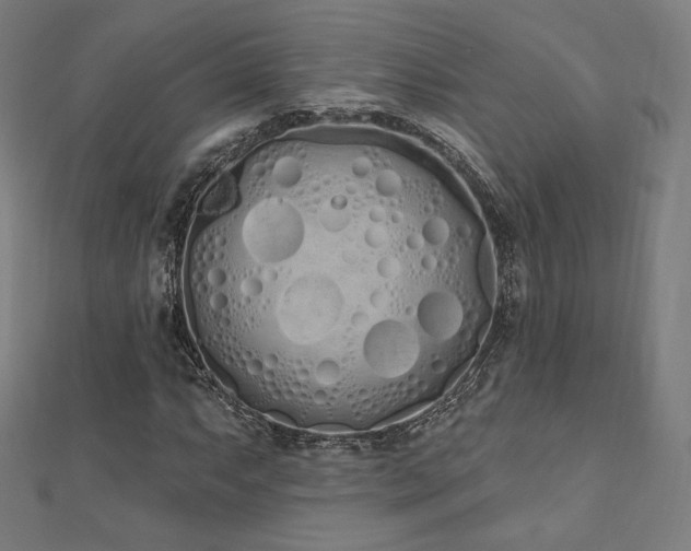 X0000112501063200908171304