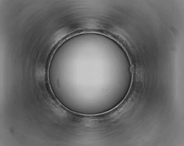 X0000112501065200908171304