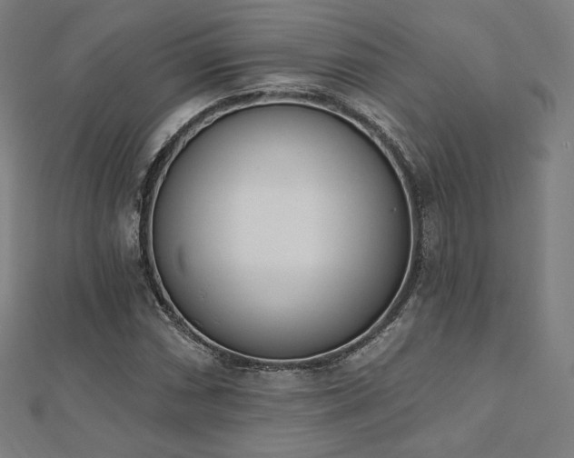 X0000112501066200908171304
