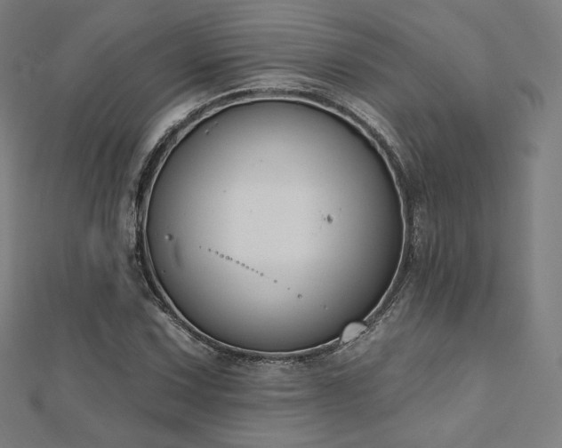 X0000112501067200908171304