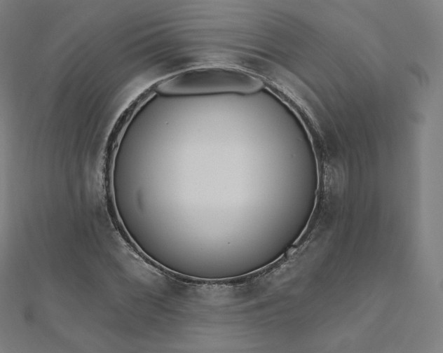 X0000112501068200908171304