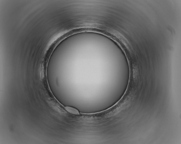 X0000112501069200908171304