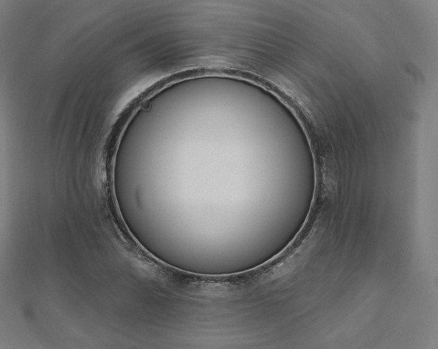 X0000112501070200908171304