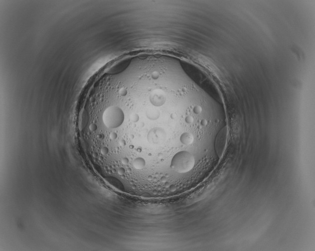 X0000112501071200908171304