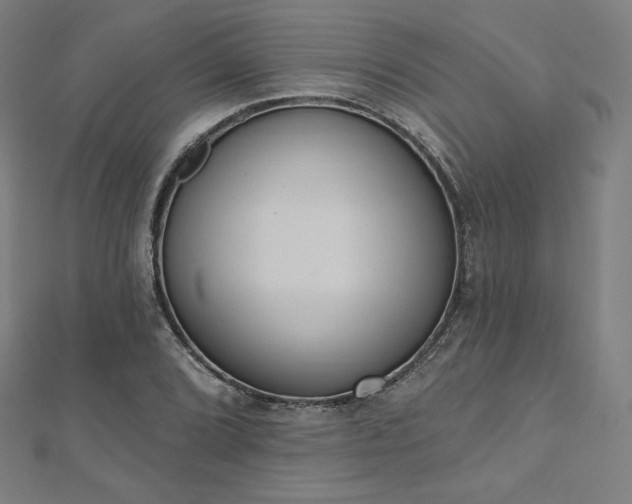 X0000112501072200908171304