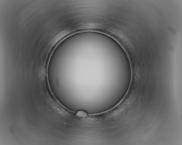 X0000112501073200908171304
