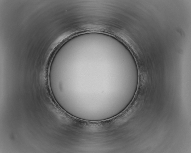 X0000112501074200908171304