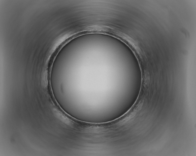 X0000112501075200908171304