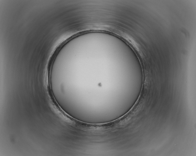 X0000112501080200908171304