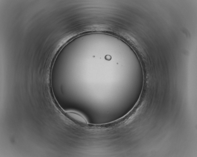 X0000112501081200908171304