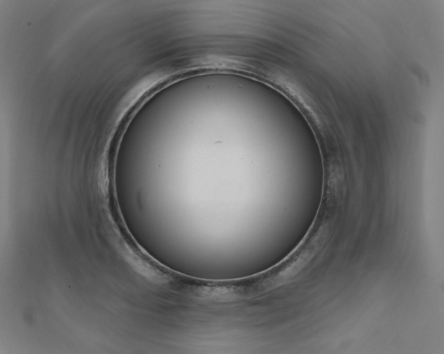 X0000112501082200908171304