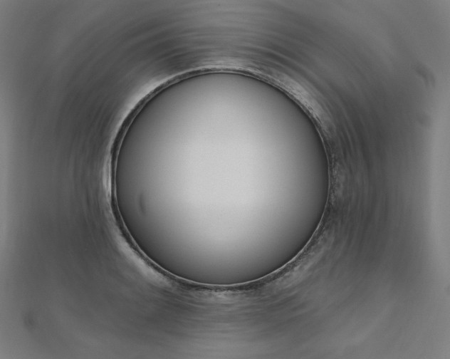 X0000112501084200908171304