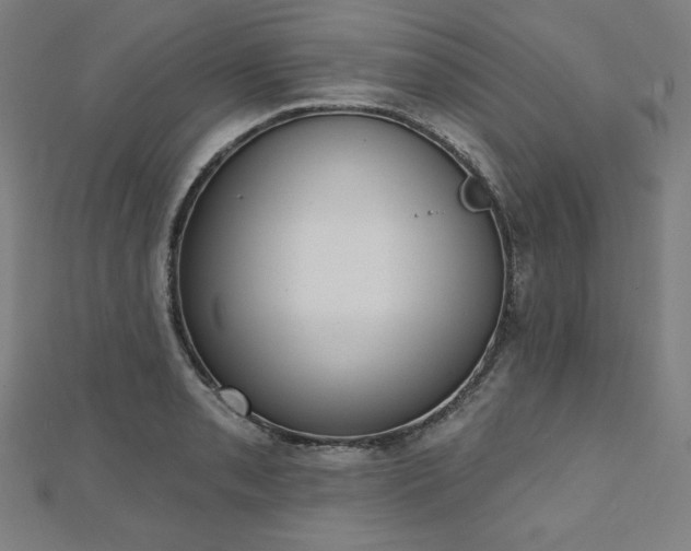 X0000112501085200908171304