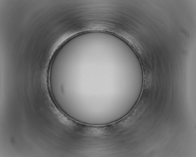 X0000112501086200908171304