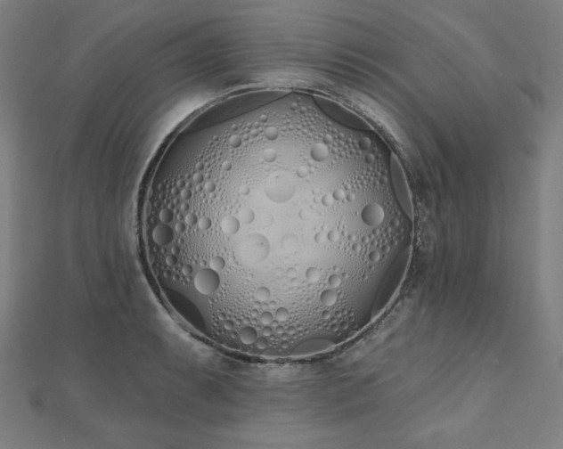 X0000112501087200908171304