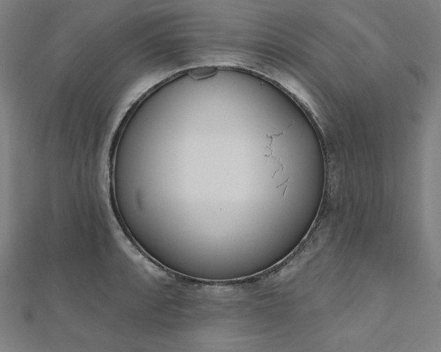 X0000112501088200908171304