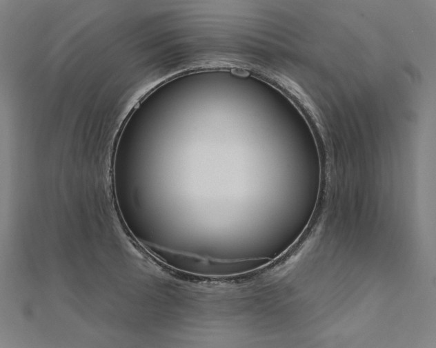 X0000112501089200908171304