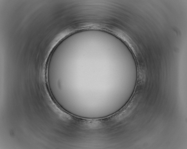 X0000112501090200908171304