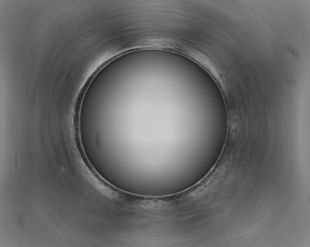 X0000112501091200908171304