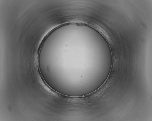 X0000112501092200908171304