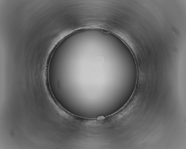 X0000112501093200908171304