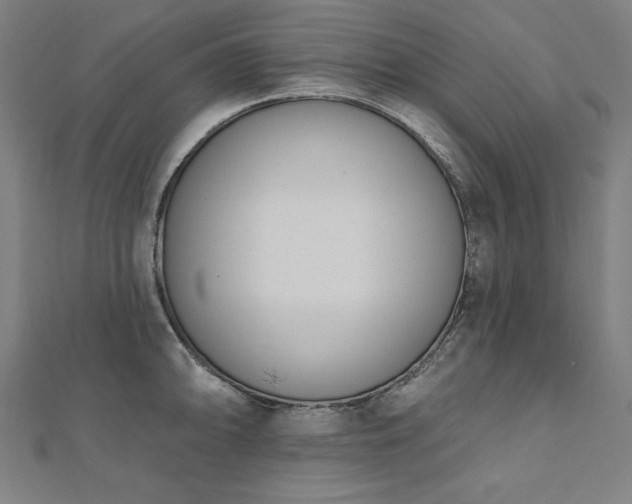 X0000112501094200908171304