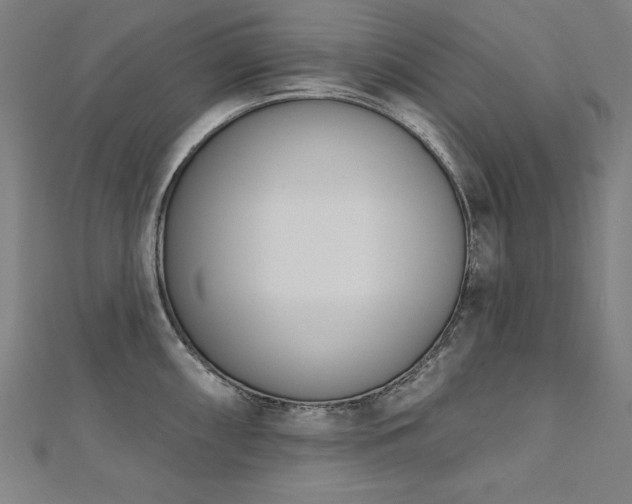 X0000112501098200908171303