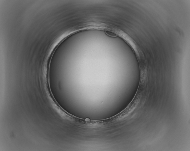 X0000112501099200908171303