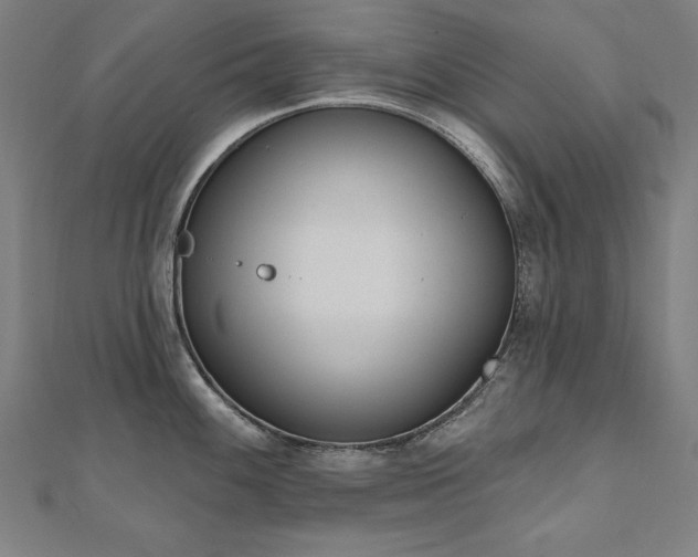 X0000112501100200908171303