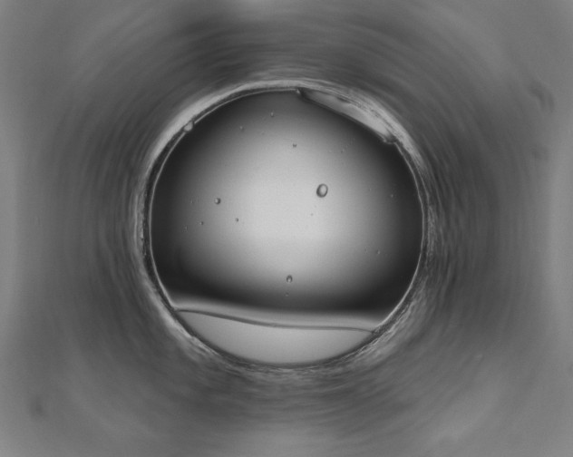 X0000112501101200908171303