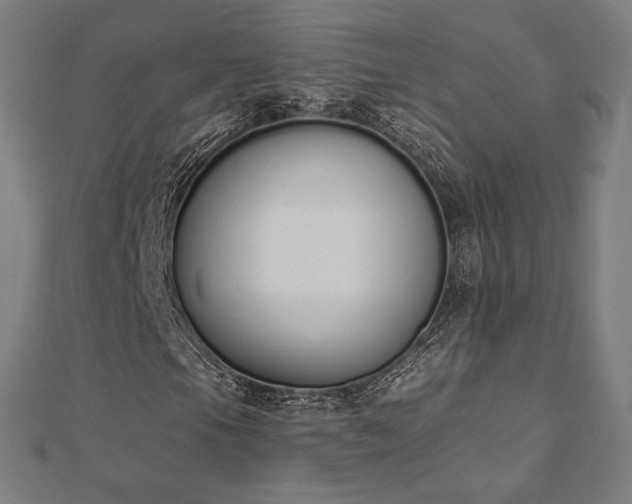 X0000112501105200908171303