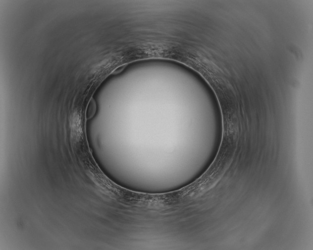 X0000112501106200908171303