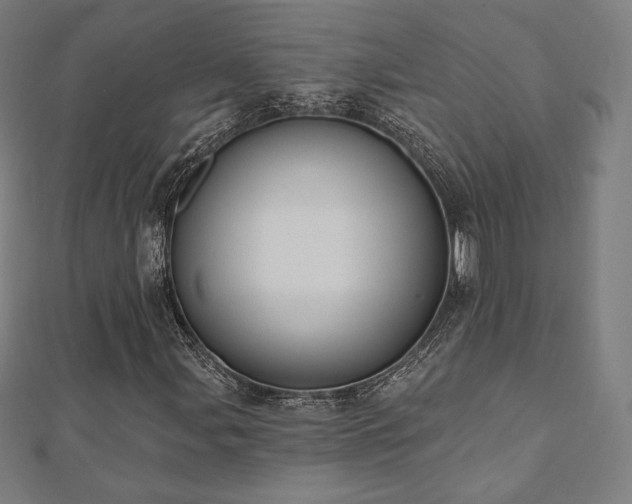 X0000112501107200908171303