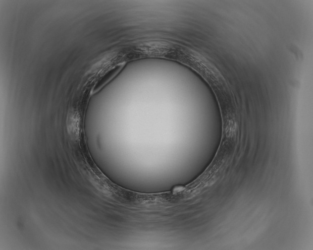 X0000112501108200908171303