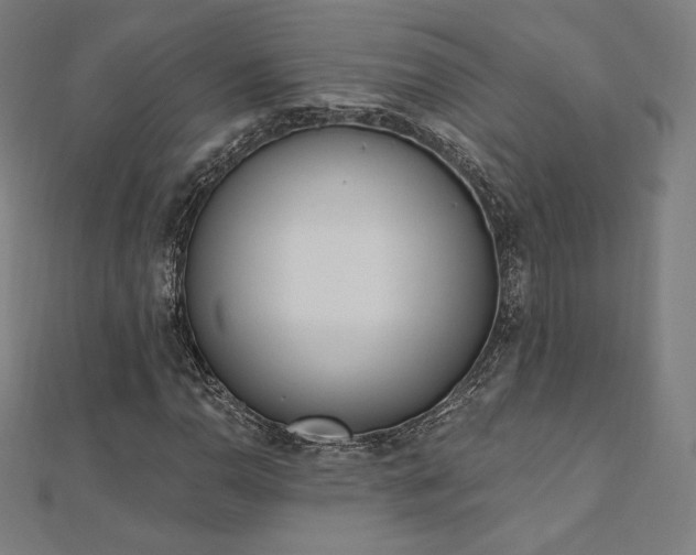 X0000112501110200908171303