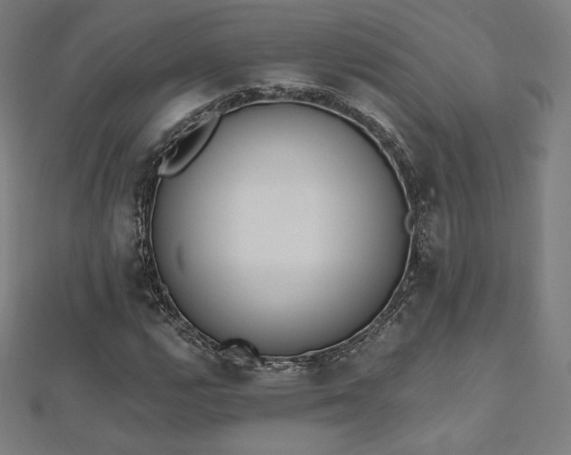 X0000112501112200908171303