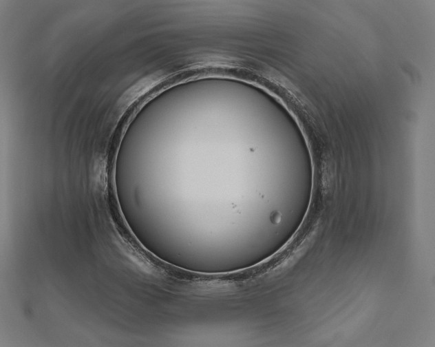 X0000112501113200908171303
